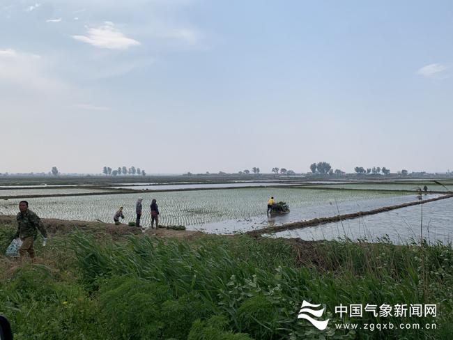 辽宁迎来甘霖，最新暴雨信息温暖传递