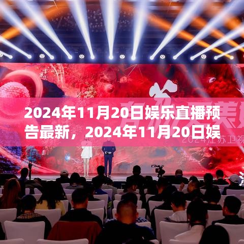 2024年度热门夜间娱乐盘点